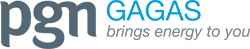 Gagas Energi Indonesia